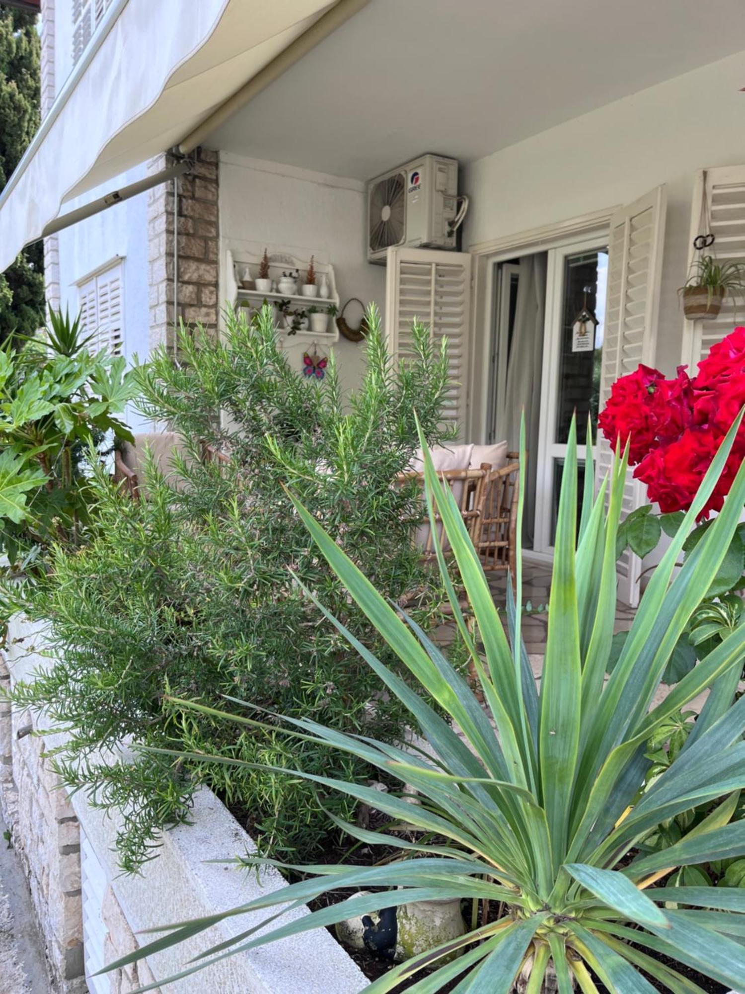 House Of Rosalia Daire Rovinj Dış mekan fotoğraf